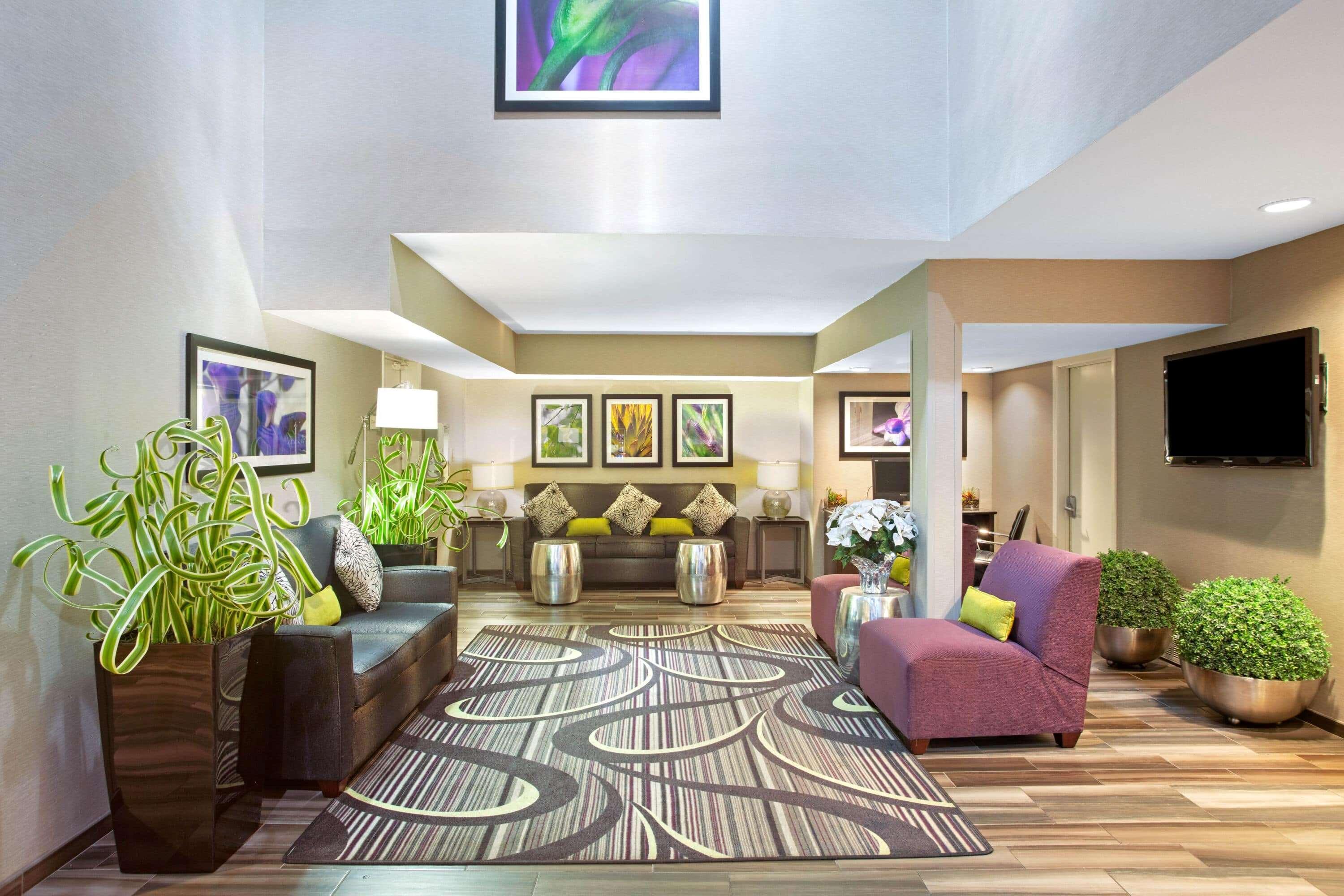 La Quinta Inn By Wyndham San Marcos Kültér fotó